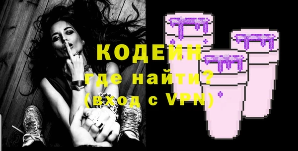 гидра Вяземский