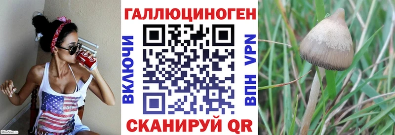 Псилоцибиновые грибы ЛСД  Купить закладки  Лахденпохья 